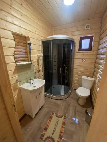 a bathroom with a shower and a toilet and a sink at Приватна садиба Шаянське джерело in Shaian