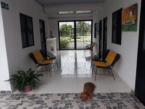 un chien dormant à même le sol dans une pièce avec des chaises dans l'établissement Hostal Flor del Ariari, à Puerto Caldas