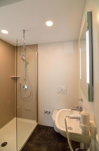 a bathroom with a shower and a toilet and a sink at Lindenberger Hof in Lindenberg im Allgäu