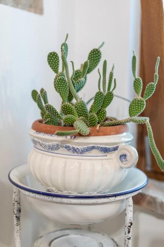 a pot of cactus plants sitting on a table at GardaBeds Adults Only in Castelnuovo del Garda