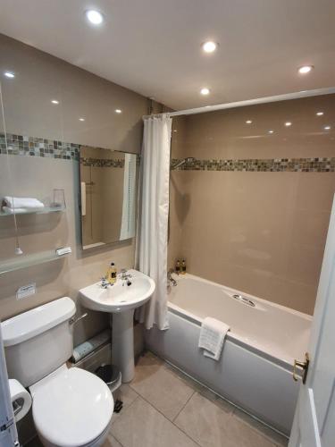 a bathroom with a toilet and a sink and a tub at Tyn Rhos Country House in Caernarfon