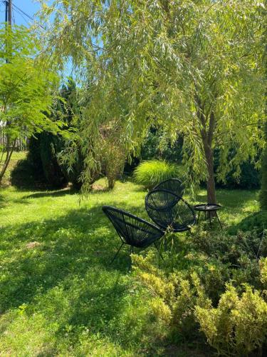 two benches sitting in the grass under a tree at Hidden gem in the hills of Somogy County in Somogydöröcske