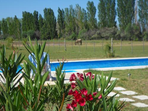 Piscina a Casa de campo Las olivas o a prop