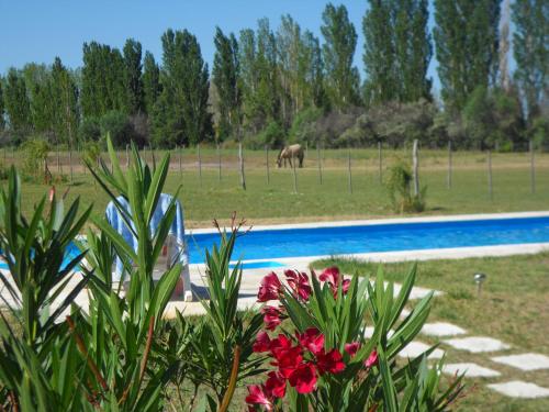 an elephant in a field next to a pool with flowers at Casa de campo Las olivas in San Rafael