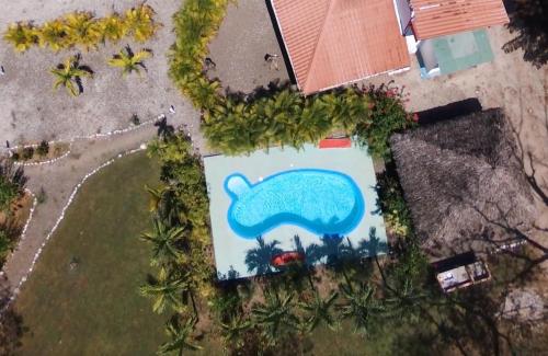 an aerial view of a painting of an elephant at Villasjungle 2 in Sámara