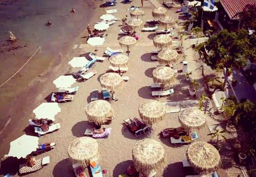 Επισκέπτες που μένουν στο Tsambikos Apts
