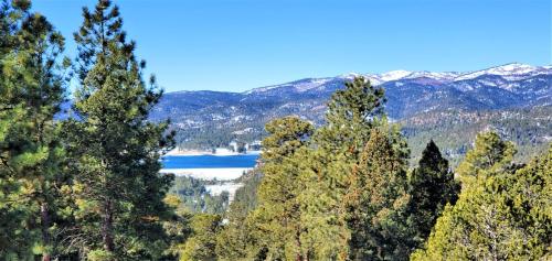 a view of a lake in the middle of trees at High Sierra Condominiums in Ruidoso