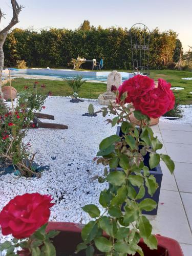 a bouquet of red roses in a garden at PETIT COIN DE CHARME in Seyresse