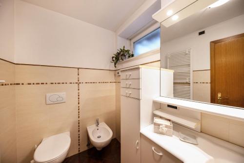 a bathroom with a toilet and a sink and a mirror at Ciasa Goti in Moena