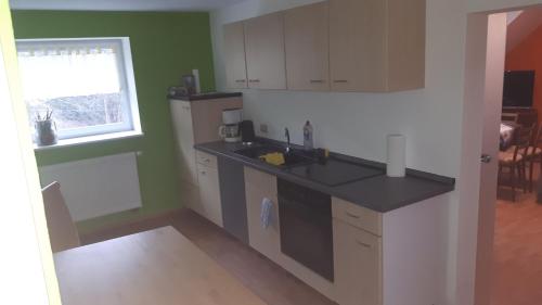 a kitchen with a counter and a sink and a window at Waldhaus Crottendorf in Crottendorf