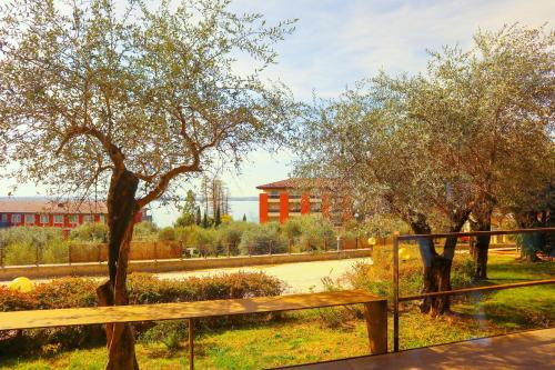a park with two trees and a wooden bench at Hotel D&eacute;sir&eacute;e - Garda Lake Collection in Sirmione