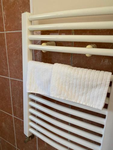 einen Handtuchhalter im Bad mit einem Handtuch in der Unterkunft ApartmaniZvezdara in Zvezdara