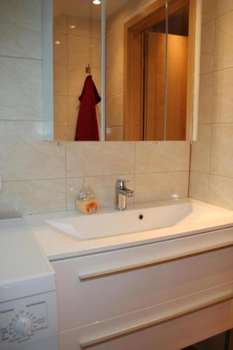 a bathroom with a sink and a mirror at Haus-Maria-Magdalena in Bad Lauterberg