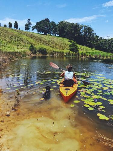 a person in a kayak in a river with a dog at Tropical Coast Retreat - Pet Friendly - Adult only in Kingscliff