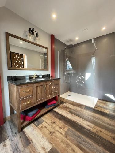a bathroom with a sink and a shower at Le Refuge du Rempart in Dambach-la-Ville