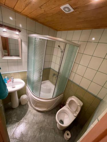 a bathroom with a shower and a toilet and a sink at Nuomojami kambariai Kelmeje in Kelmė