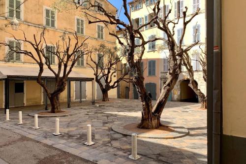 a group of trees in a courtyard with a building at Bel appartement 4 étoiles Centre Historique Toulon in Toulon