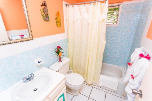 a bathroom with a sink and a toilet and a shower at Villa Criss in Ocho Rios