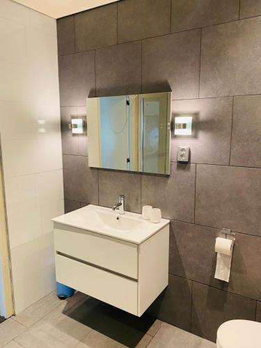 a bathroom with a sink and a mirror and a toilet at Hof van Sellingen in Sellingen