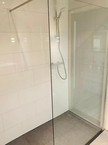 a shower with a glass door in a bathroom at Hof van Sellingen in Sellingen