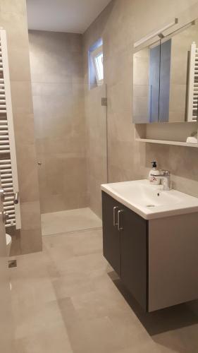 a bathroom with a sink and a shower at Beograd centar in Belgrade
