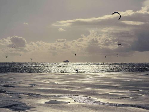 a group of people flying kites on the beach at Mercure Le Havre Centre Bassin Du Commerce in Le Havre