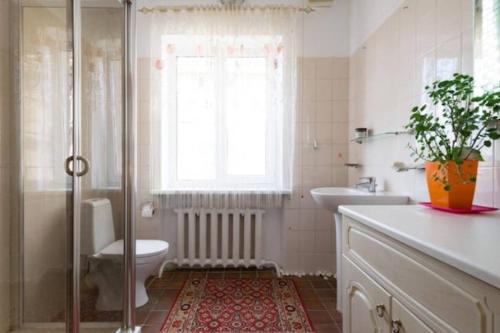 a bathroom with a shower and a toilet and a sink at Guest House On Maksimova 9 in Almaty