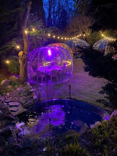a garden with domes with purple lights and a pond at The Casa Hotel, Sure Hotel Collection by Best Western in Yateley
