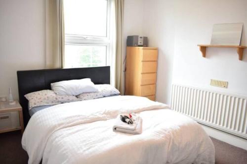 Cama ou camas em um quarto em Lovely Victorian Flat for 6 in Stoke Newington