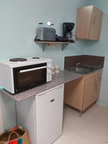 a small kitchen with a microwave and a sink at Konstantina's studio near the beach in Chania Town