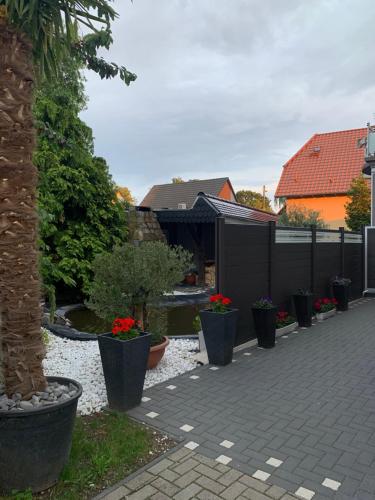 um jardim com vasos de plantas e uma cerca em SAM - Gasthaus.MD em Magdeburgo