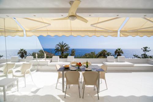 Seagulls melody C-209