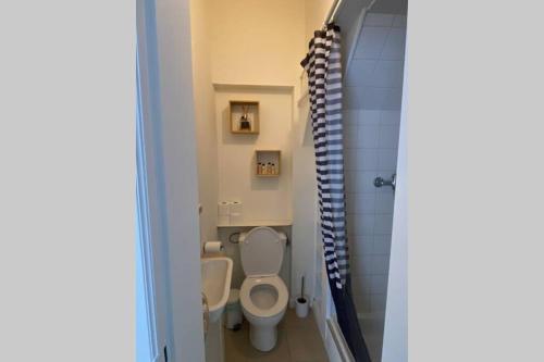 a small bathroom with a toilet and a shower at Studio with terrace in 17th century house in Bruges