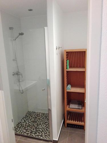 une salle de bain avec douche et douche à l'italienne dans l'établissement Appartement Petite France avec terrasse, à Strasbourg