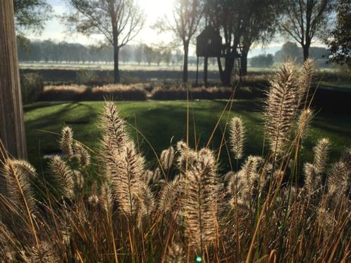Jardín al aire libre en B&B The View Bis