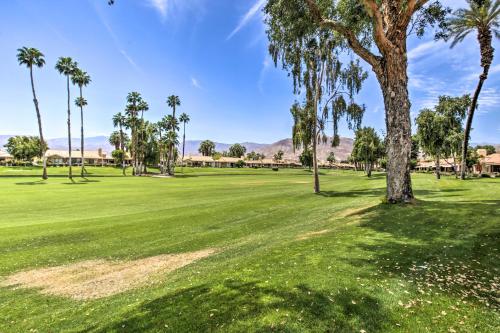 a tree in a field with palm trees at Palm Desert Escape with Patio, Grill and Fire Pit in Palm Desert