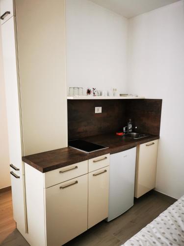 Η κουζίνα ή μικρή κουζίνα στο Apartments Pr' Štormanu
