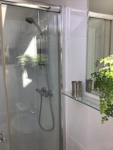 a shower with a shower head in a bathroom at Conference View Guest House in Harrogate