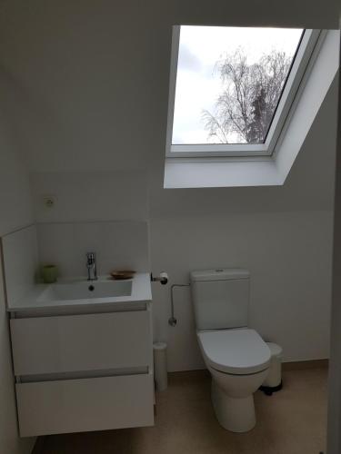 La salle de bains est pourvue de toilettes et d'une fenêtre. dans l'établissement MAISON DES FLEURS, à Bruxelles