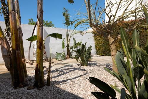 a garden with trees and plants in front of a building at Il Giardino Di Flora con Piscina & Jacuzzi in Lecce