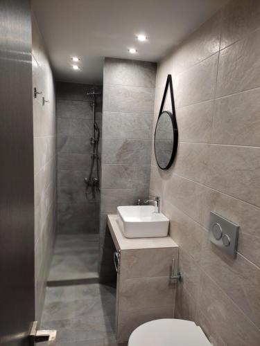 ein Badezimmer mit einem Waschbecken, einem WC und einem Spiegel in der Unterkunft Stefani apartments in Methana