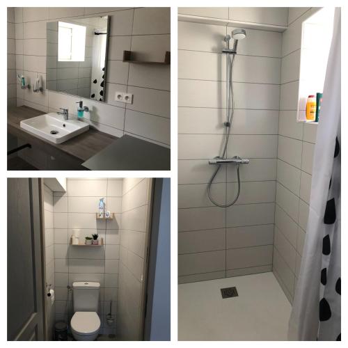 une salle de bain avec une douche, des toilettes et un lavabo dans l'établissement Le gîte du Lavoir - Les gîtes de joséphine, à Courbouzon