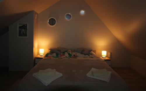 a bedroom with a bed with two lights on it at Apartament Dla Dwojga in Ustrzyki Dolne