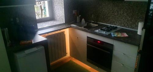 a small kitchen with a sink and a dishwasher at Nordapartament in Suceava