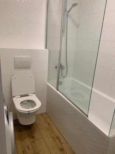 a white bathroom with a toilet and a shower at Park Lake Апартаменти Центр in Ternopilʼ
