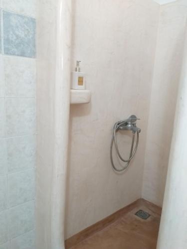 a bathroom with a shower stall and a toilet at Youth hostel Anna in Perissa