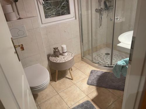 a bathroom with a shower and a toilet and a sink at Suite hôtelière au cœur du Valais in Saxon