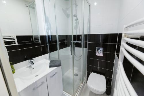 une salle de bain avec une douche, des toilettes et un lavabo dans l'établissement L'Ecluse - Studio Cosy, Calme, Hyper-Centre Strasbourg, à Strasbourg