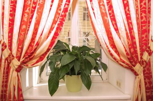 a plant in a window with red and white curtains at Very Central, 5 min to city center, Self Check In in Vienna