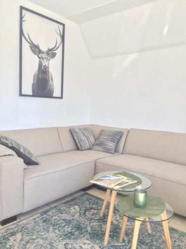 Φωτογραφία από το άλμπουμ του Guesthouse "Cosmea" σε Olst